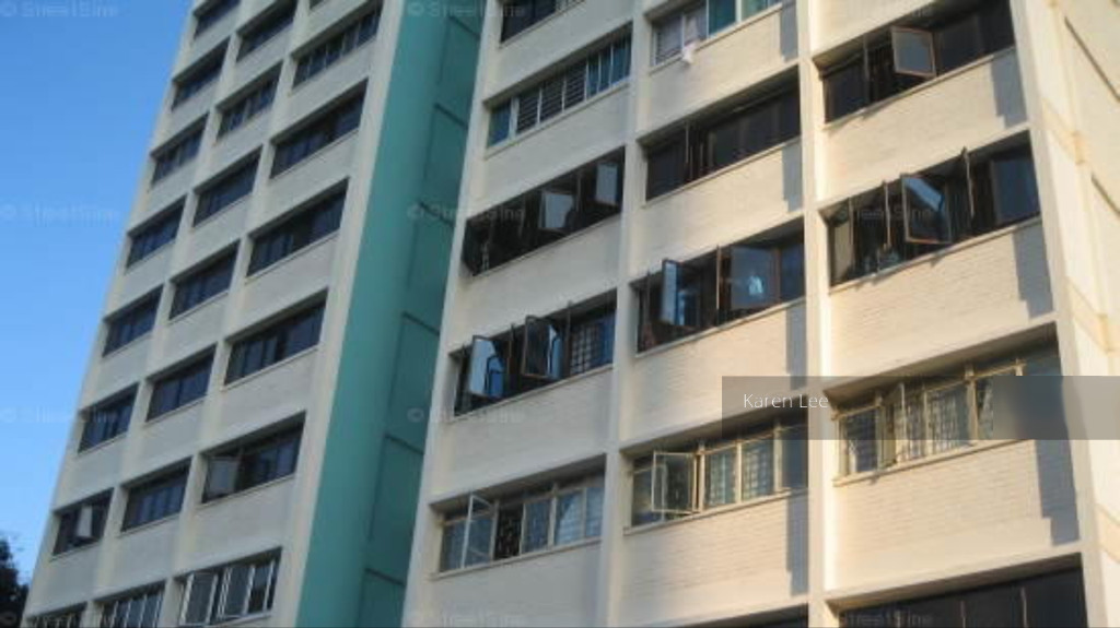 Blk 19 Balam Road (Geylang), HDB 3 Rooms #132641272